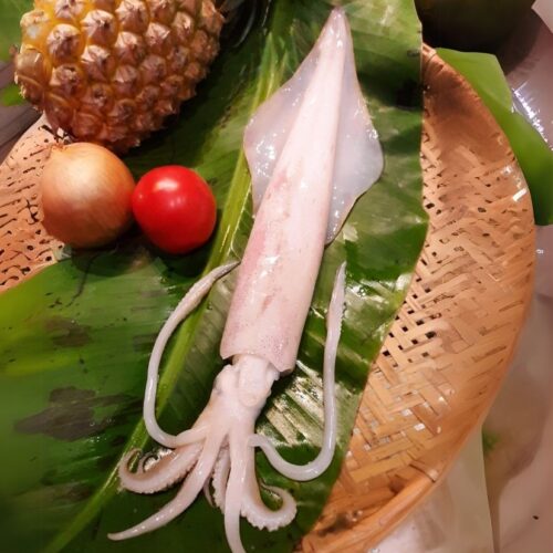 野生船凍透抽 300±25g/隻