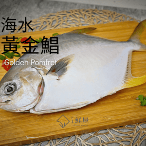 海水黃金鯧 380±40g