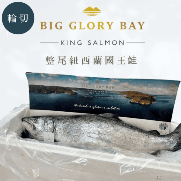 紐西蘭國王鮭全魚輪切組合 4500±200g(預購)