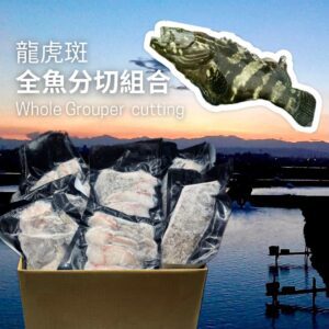 龍虎斑全魚分切組合 1680±100g