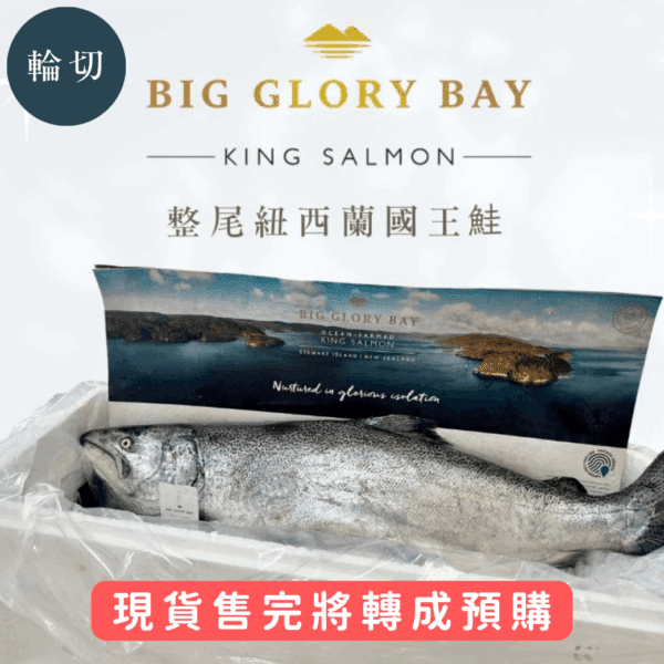 紐西蘭國王鮭全魚輪切組合 4500±200g