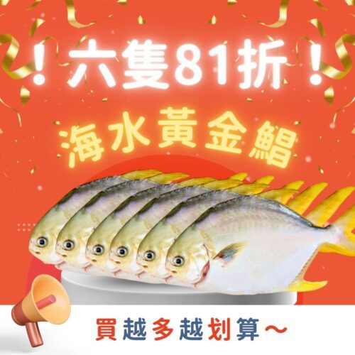 ⭐【六隻81折】海水黃金鯧組⭐