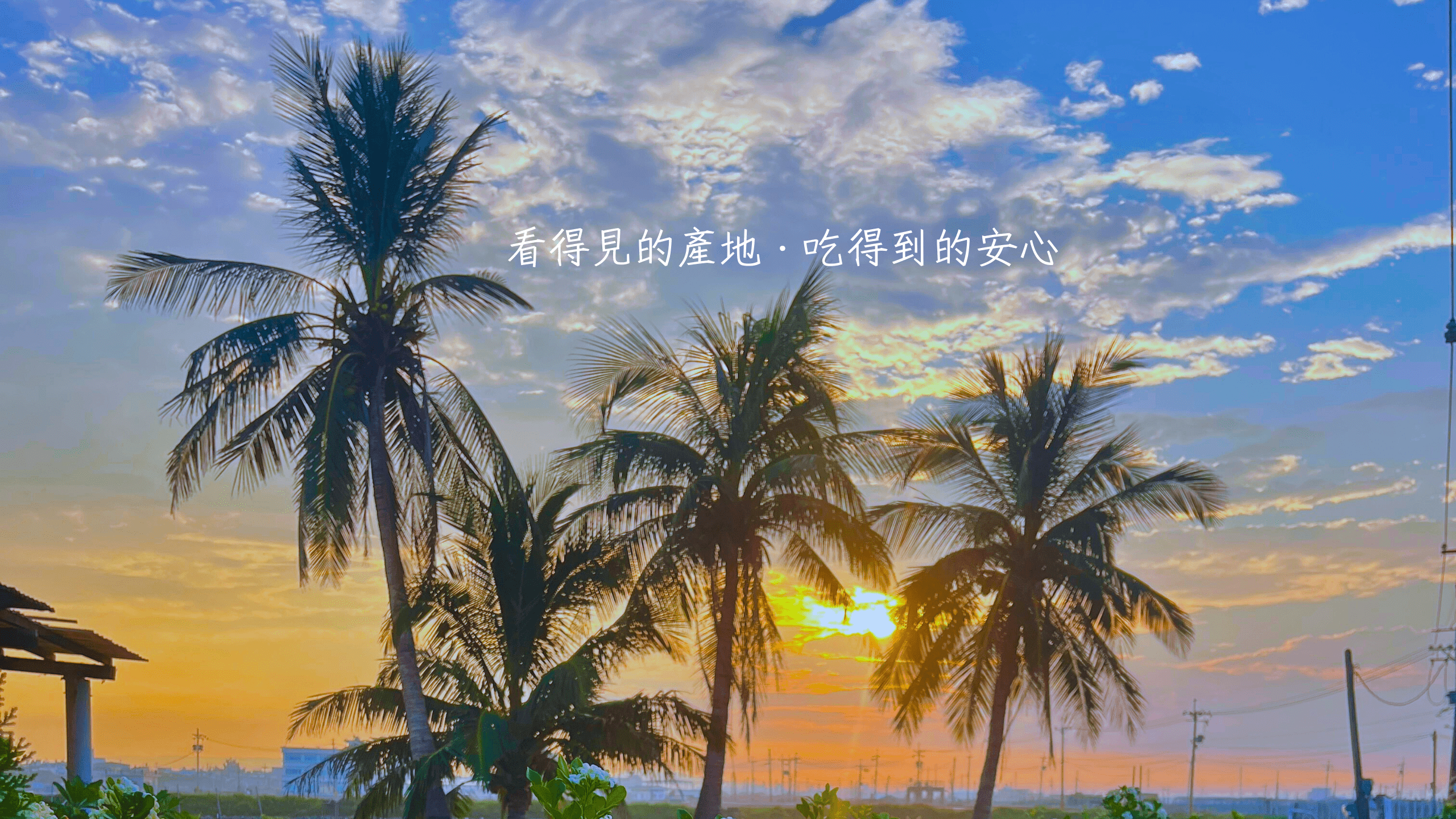 橫幅1
