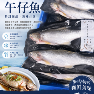 海水午仔魚 600±40g