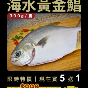 海水黃金鯧 300±40g (五送一)