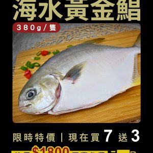 海水黃金鯧 380±40g (七送三)